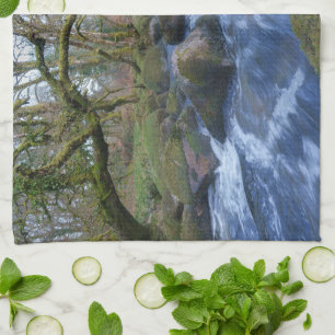 Mossy Trees and River Dart Flowing at Dartmeet Kitchen Towel