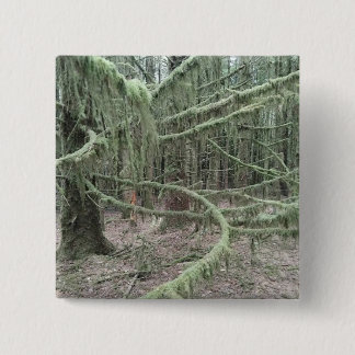 Mossy Trees In Welsh Woodland 2025 2 Inch Square Button
