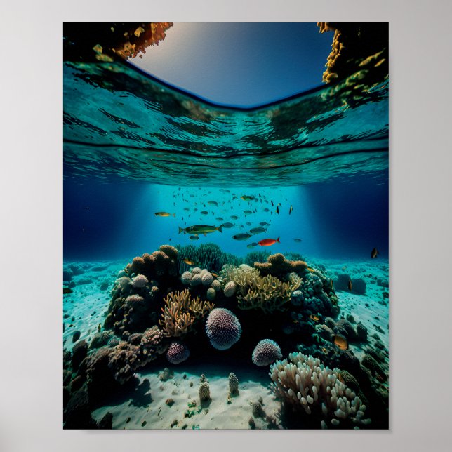 Most Beautiful Coral Reef Tropical Coral Reef Poster (Front)