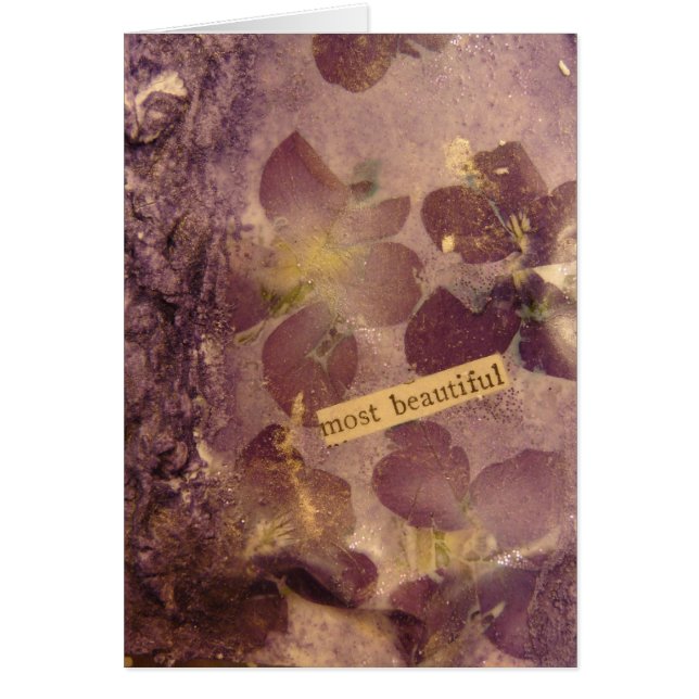 Most Beautiful Flowers (Front)