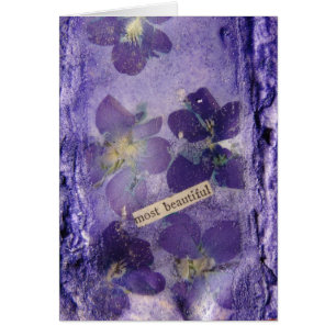 Most Beautiful Purple Violets