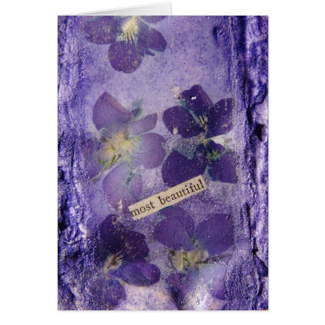 Most  Beautiful Purple Violets (Front)