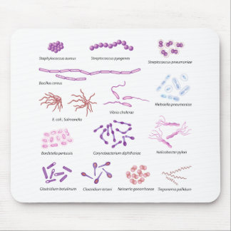 Most common bacteria infecting human Mousepad