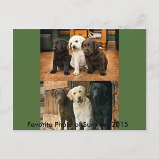 Most Favourite Photo of 2015: Postcard