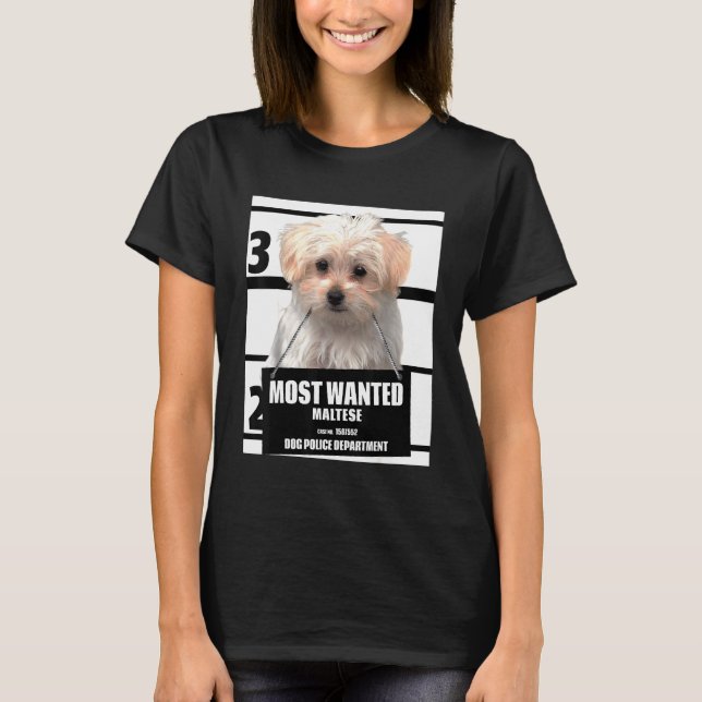 Most Wanted Maltese T-Shirt (Front)