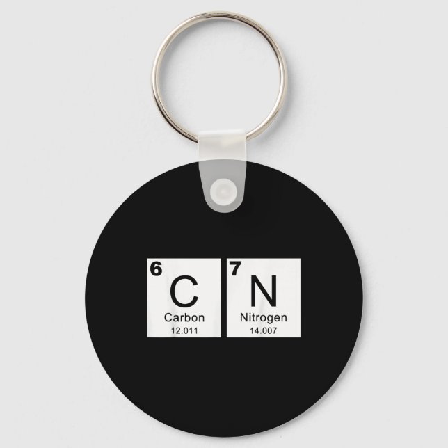 Mostly D Decisions Charlotte Spring Break  Keychain (Front)