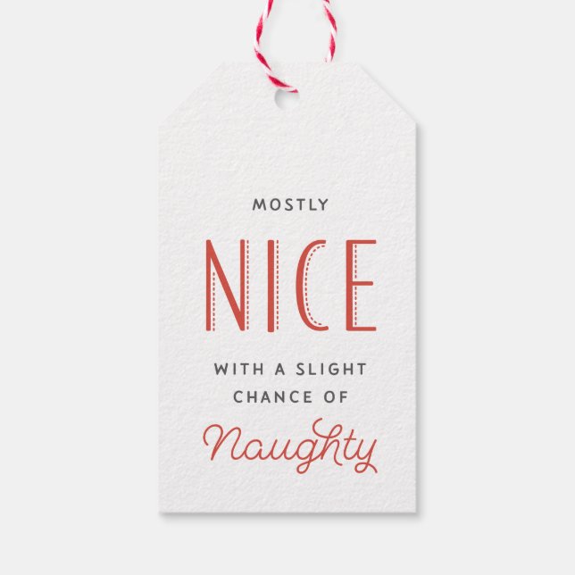 Mostly Nice Red Stripe Christmas Gift Tag (Back)