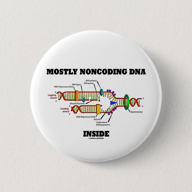 Mostly Noncoding DNA Inside (DNA Replication) 2 Inch Round Button (Front)