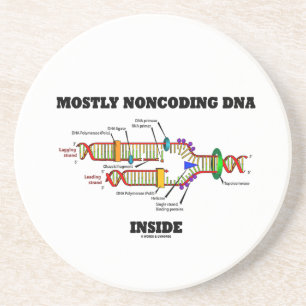 Mostly Noncoding DNA Inside (DNA Replication) Coaster