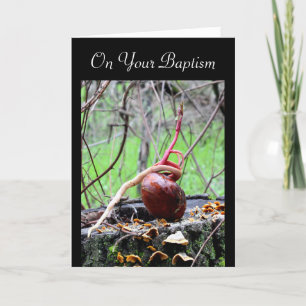 Mot vivant Buckeye Tree Sprout Carte de baptême ad