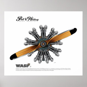 Moteur d'aéronef radial avec affiche d'art