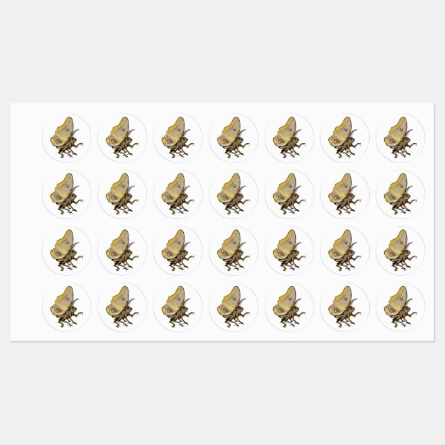 Moth (Sheet)