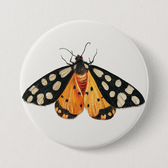 Moth 3 Inch Round Button (Front)