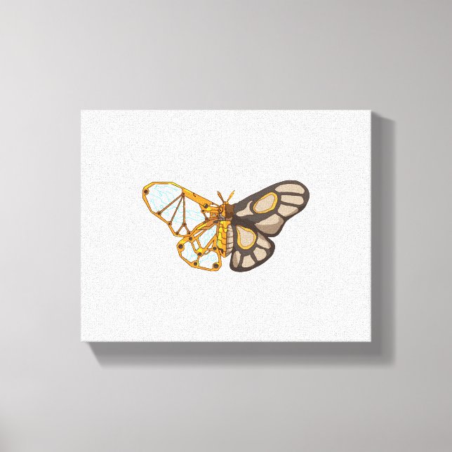Moth Butterfly Dragonfly Insect Canvas Print (Front)