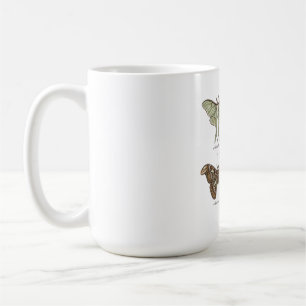 Moth Collection Vintage Entomology Dark Cottagecor Coffee Mug