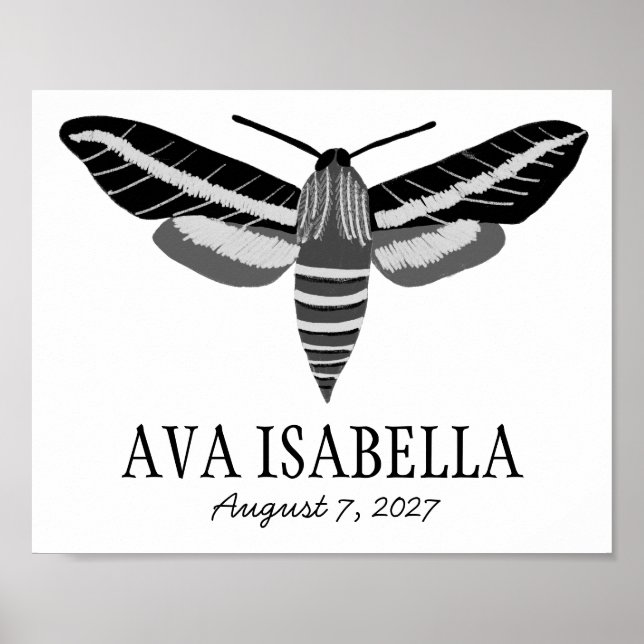 MOTH Elegant Insect CUSTOM BABY NAME BIRTHDATE Poster (Front)
