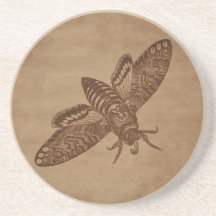 Moth Engraving on Aged Paper