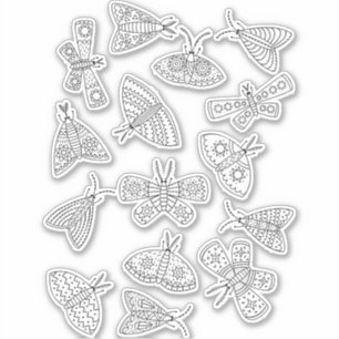 Moth Line Art Drawing