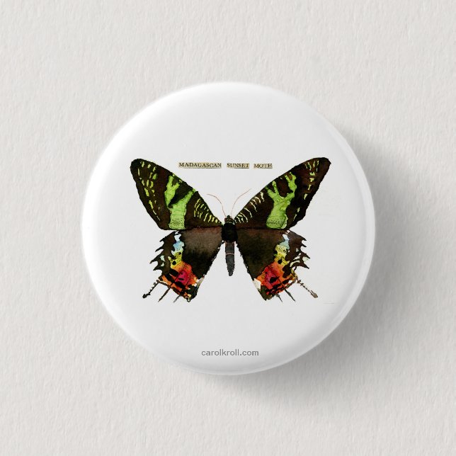 Moth: Madagascan Sunset Moth 1 Inch Round Button (Front)