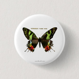 Moth: Madagascan Sunset Moth 1 Inch Round Button