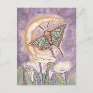 Moth & Moonflowers Postcard