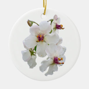 Moth Mullein Wildflower Ornament