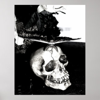 Moth on a skull poster