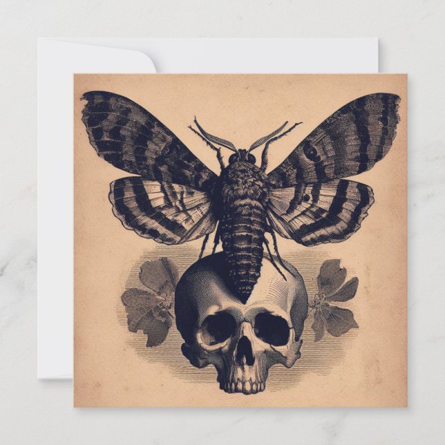 Moth on Skull Antique Goth Horror Illustration Card (Front)