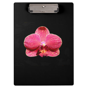 Moth Orchid Clipboard