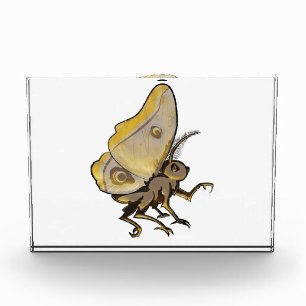 Moth Photo Block