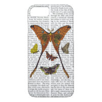 Moth Plate 2