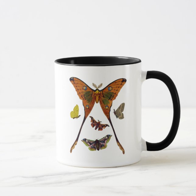 Moth Plate 2 Mug (Right)