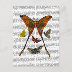 Moth Plate 2 Postcard