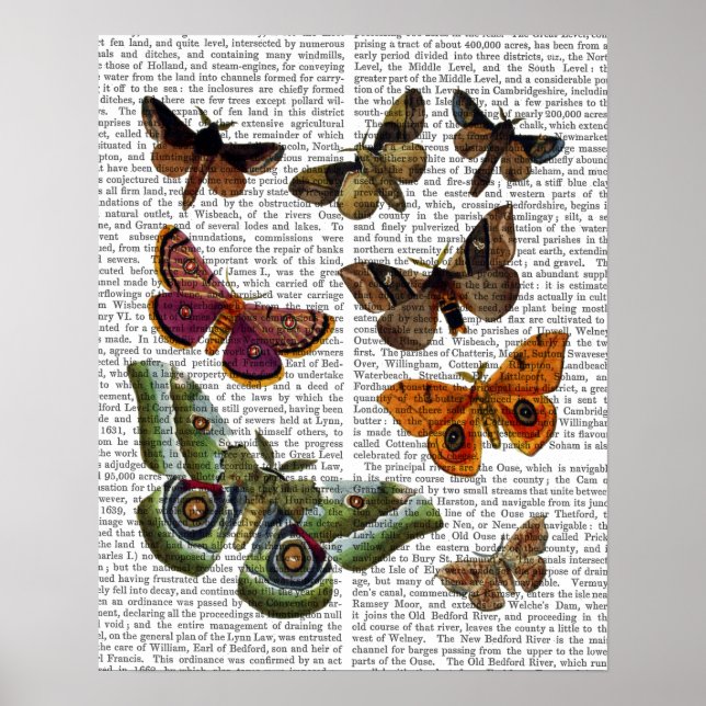 Moth Plate 2 Poster (Front)