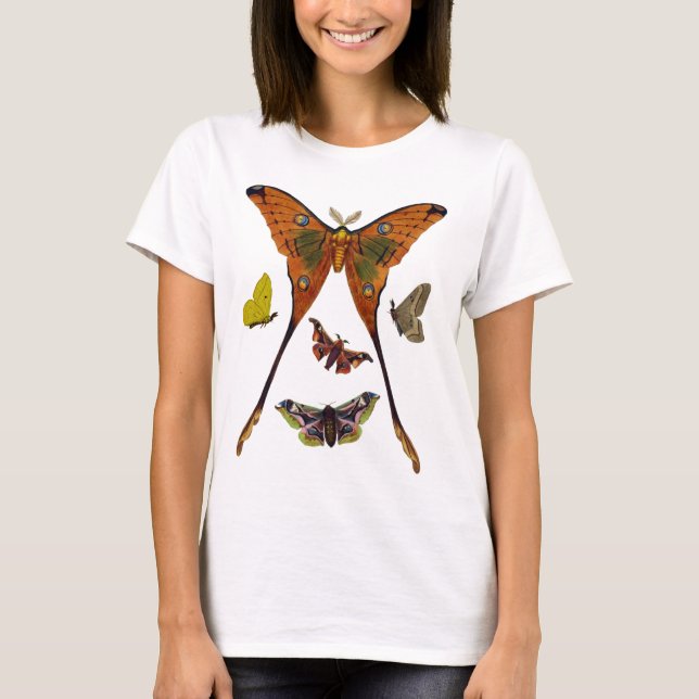 Moth Plate 2 T-Shirt (Front)