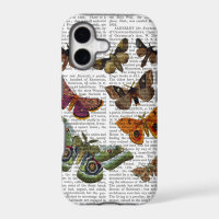 Moth Plate 3