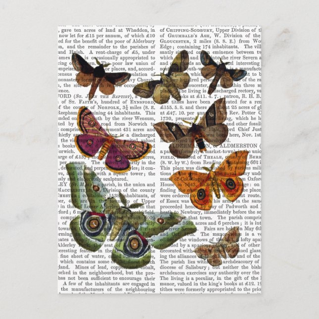 Moth Plate 3 Postcard (Front)