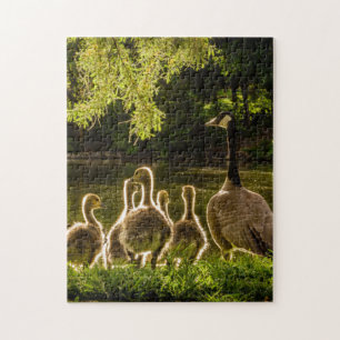 Mother and Baby Animal Duck Photography Jigsaw Puzzle