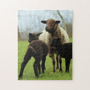 Mother and Baby Animal Sheep Photography Jigsaw Puzzle