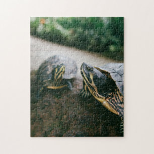 Mother and Baby Animal Turtle Photography Jigsaw Puzzle