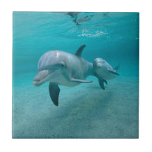 MOTHER AND BABY CALF DOLPHIN
