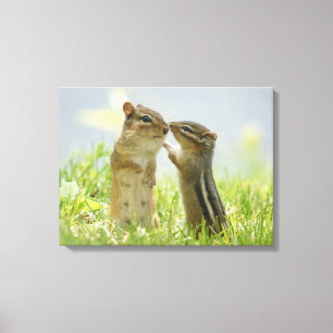 Mother And Baby Chipmunk Canvas Print