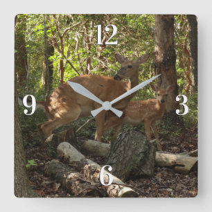 Mother and Baby Deer at Shenandoah National Park Square Wall Clock