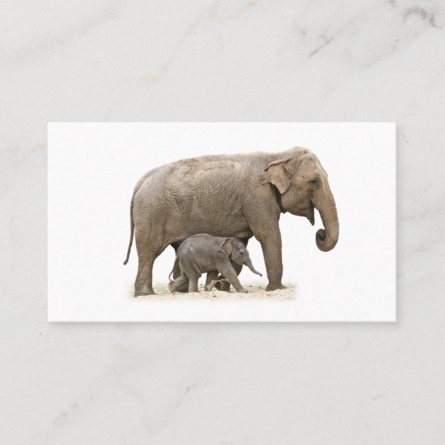 Mother and Baby Elephant Business Card (Front)