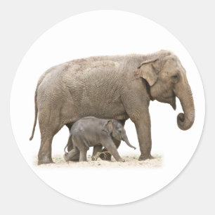 Mother and Baby Elephant Classic Round Sticker