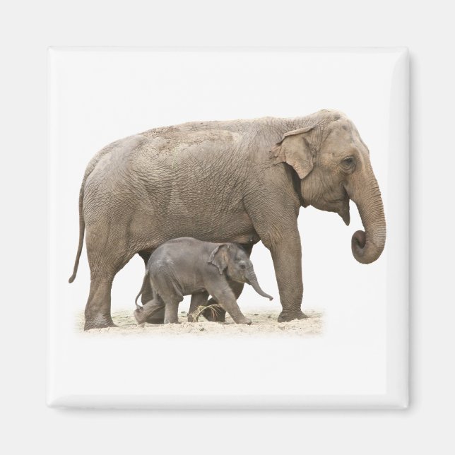 Mother and Baby Elephant Magnet (Front)