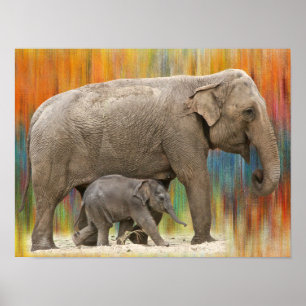Mother and baby elephant poster