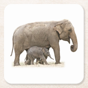 Mother and Baby Elephant Square Paper Coaster