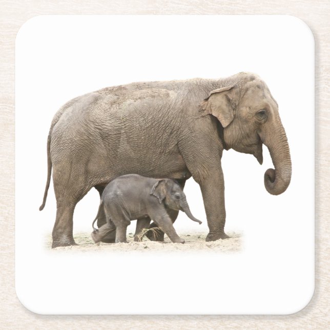 Mother and Baby Elephant Square Paper Coaster (Front)