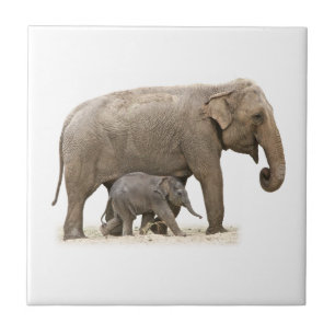Mother and Baby Elephant Tile